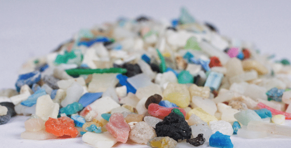 | Plastics of all shapes sizes colors and composition enter the ocean every day with largely unknown impacts Studying these environmental impacts outside the lab and in the ocean is challenging Image by Florida Sea Grant via Flickr CC BY NC ND 20 DEED | MR Online